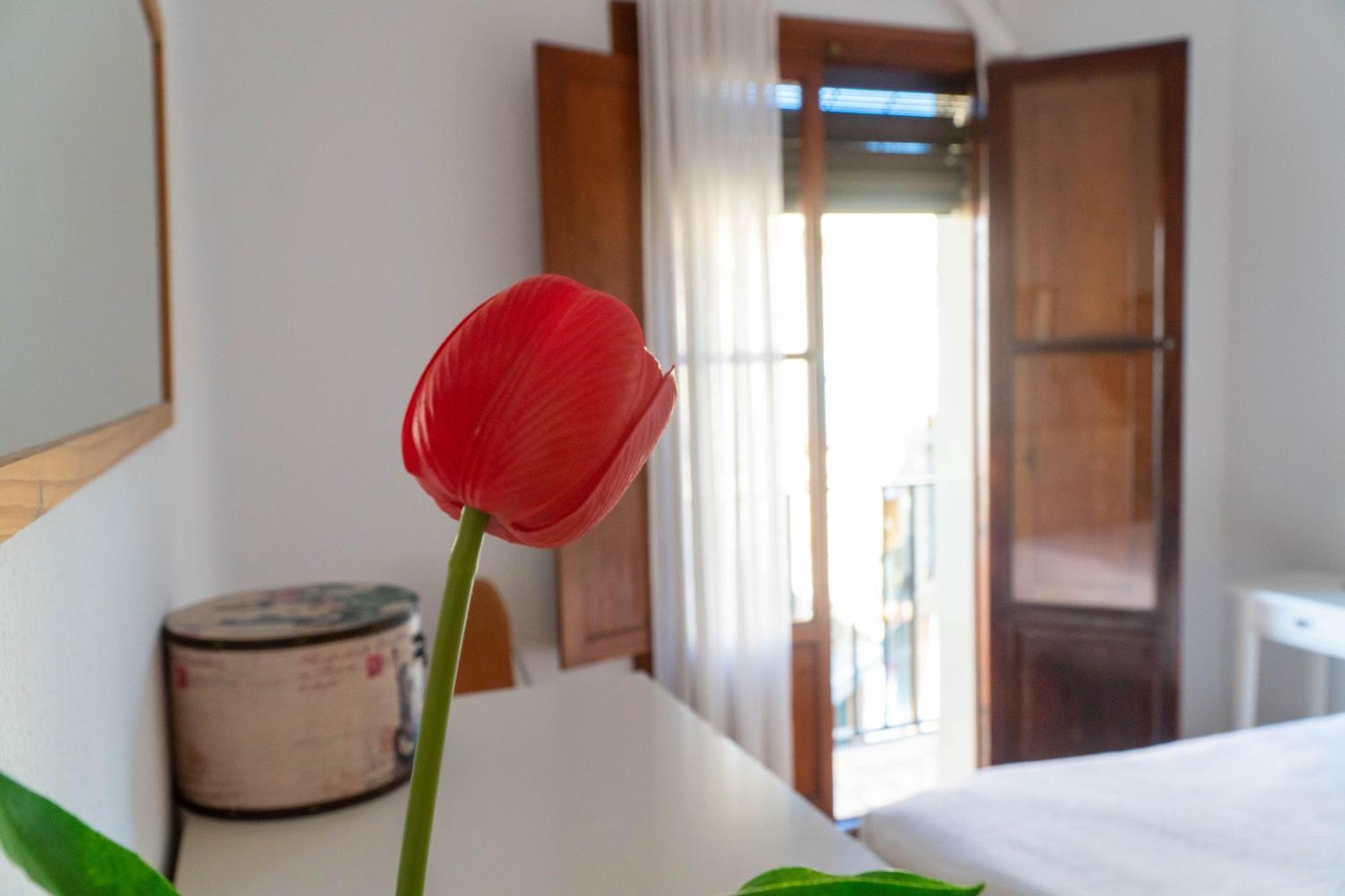 Light House Sherry Appartement *